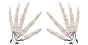Halloween Articulated Long Fingers Glove